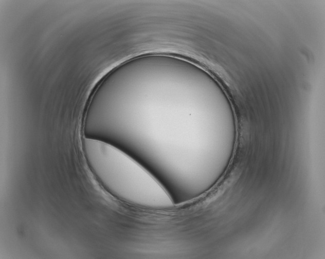 X0000112481513200908171001