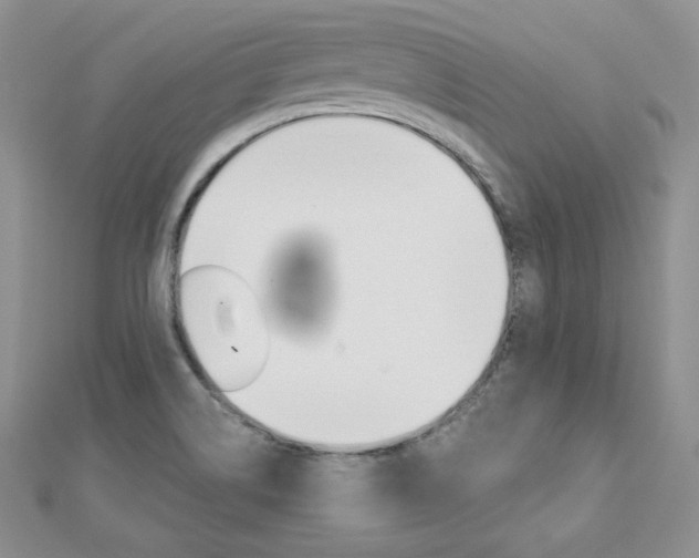 X0000112481514200908171001