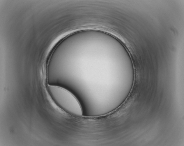 X0000112481515200908171001
