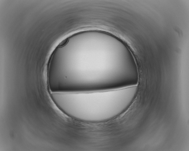 X0000112481516200908171001