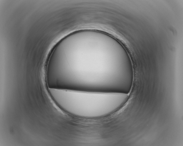 X0000112481517200908171001