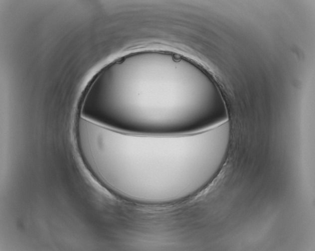 X0000112481518200908171001