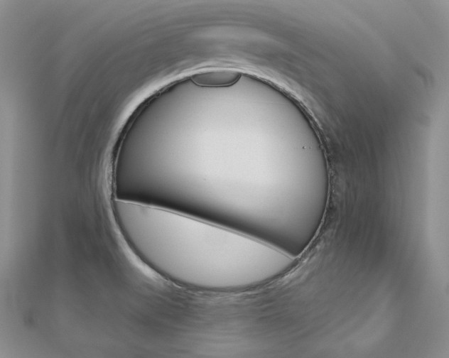 X0000112481519200908171001