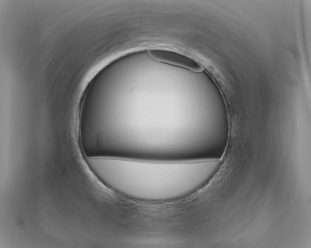 X0000112481520200908171001