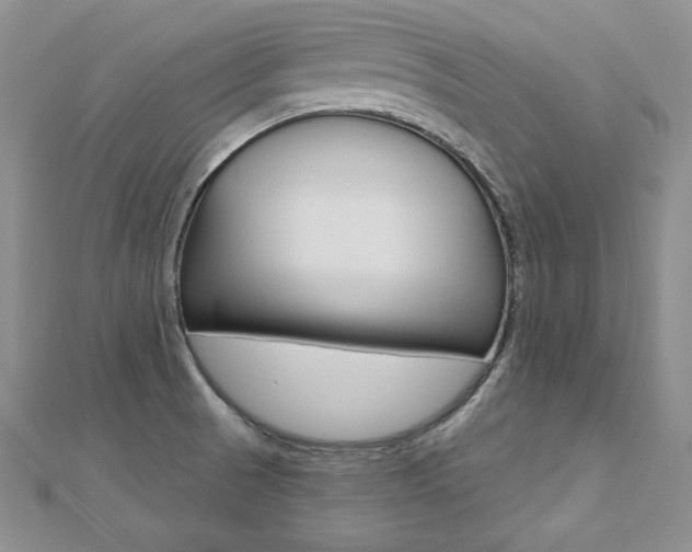 X0000112481521200908171001