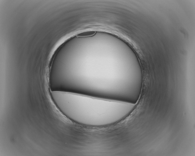 X0000112481522200908171001