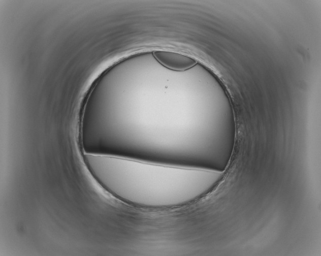 X0000112481523200908171001