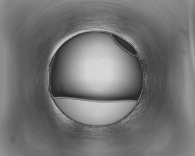 X0000112481524200908171001