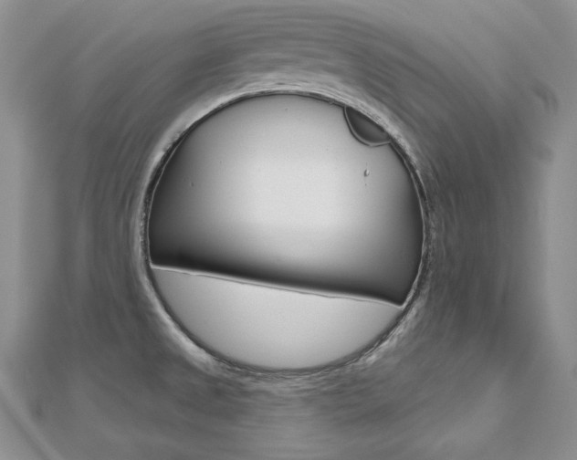X0000112481525200908171001