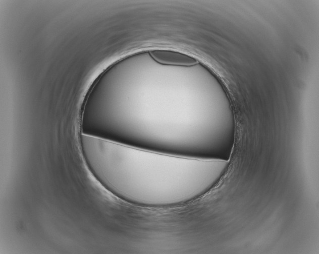 X0000112481527200908171001