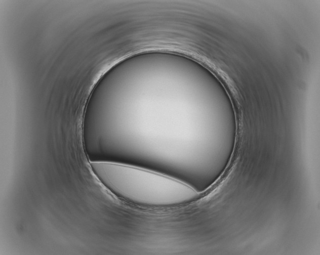 X0000112481529200908171001