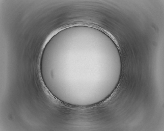 X0000112481530200908171001