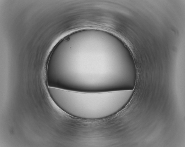 X0000112481531200908171001