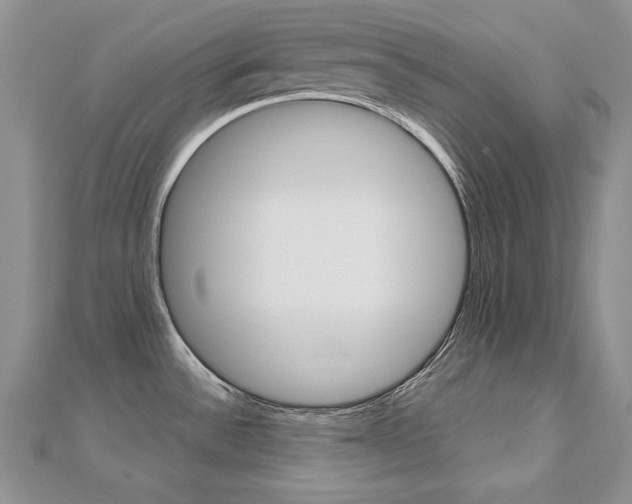 X0000112481532200908171001