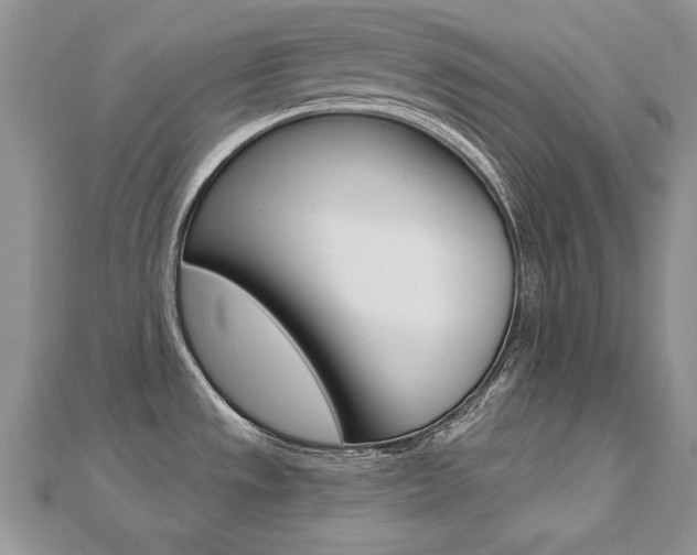 X0000112481533200908171001