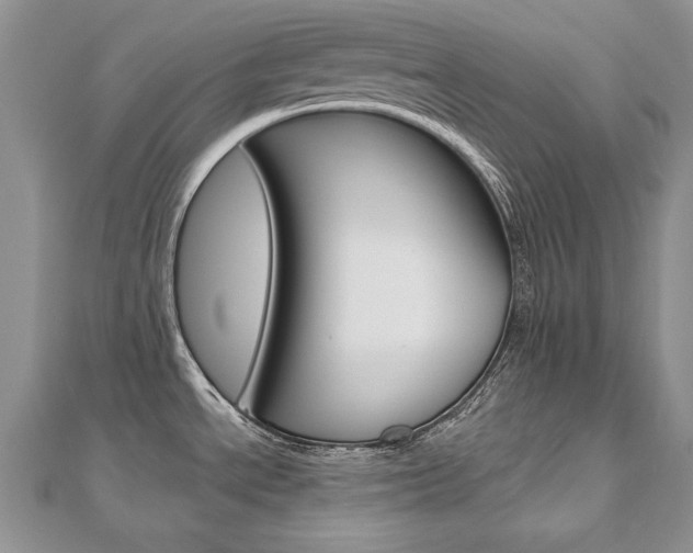 X0000112481534200908171001