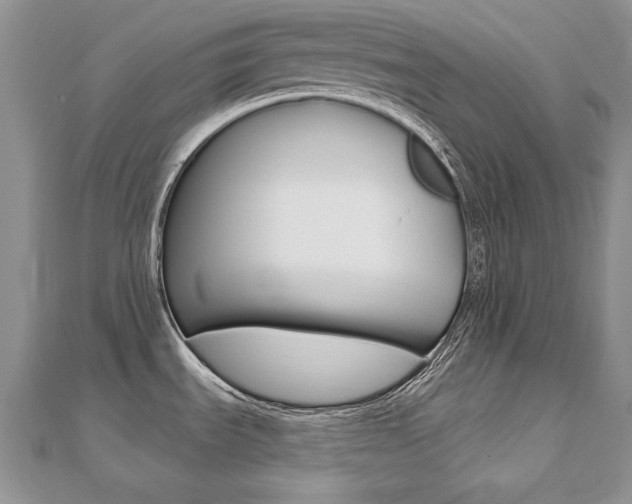 X0000112481535200908171001
