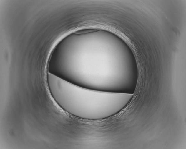 X0000112481536200908171001