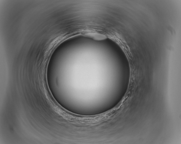 X0000112480001200908171229