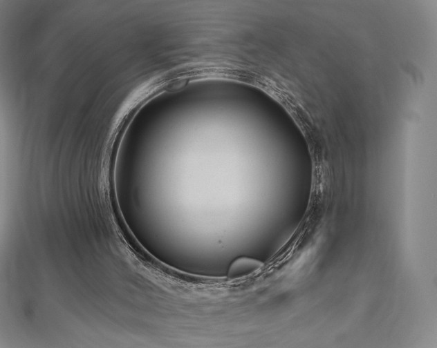 X0000112480004200908171229