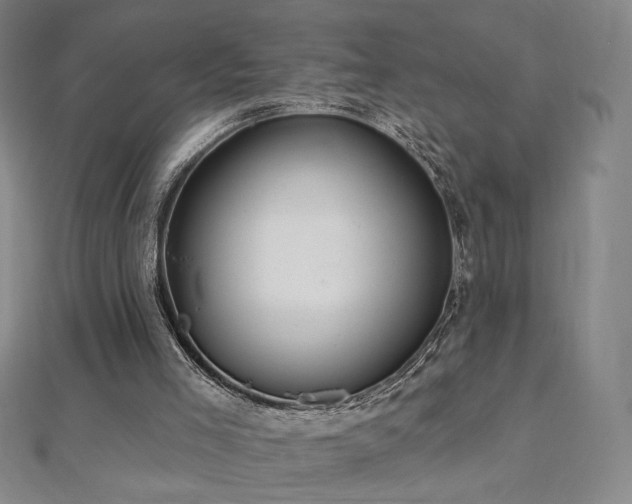 X0000112480005200908171229