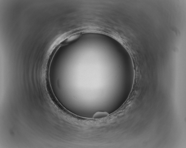 X0000112480007200908171229