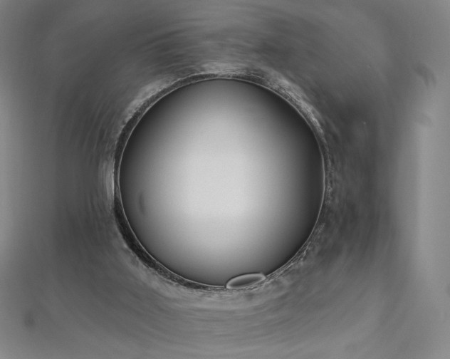 X0000112480011200908171229