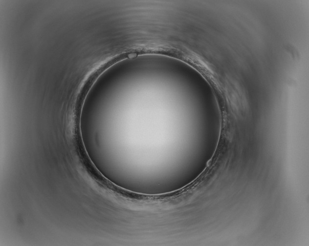 X0000112480012200908171229