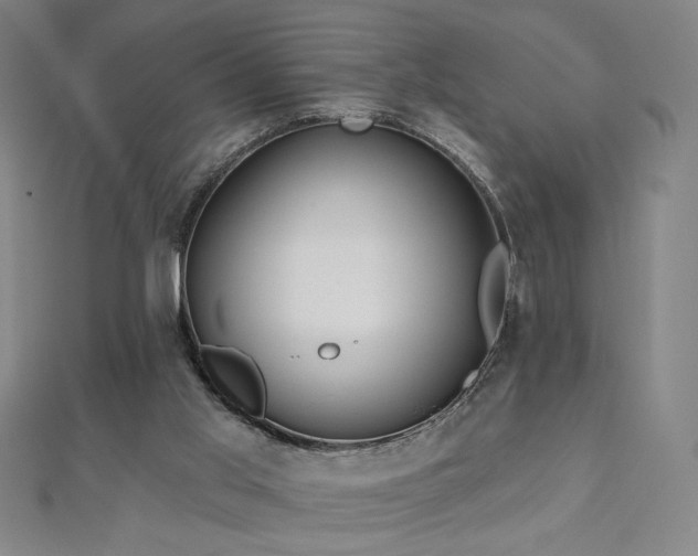 X0000112480013200908171229