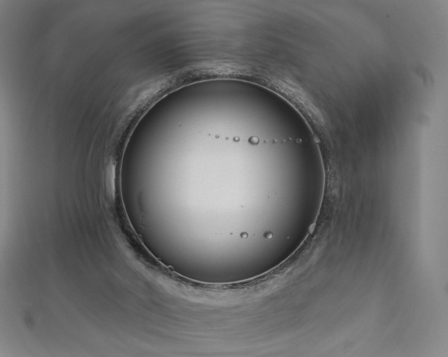 X0000112480014200908171229