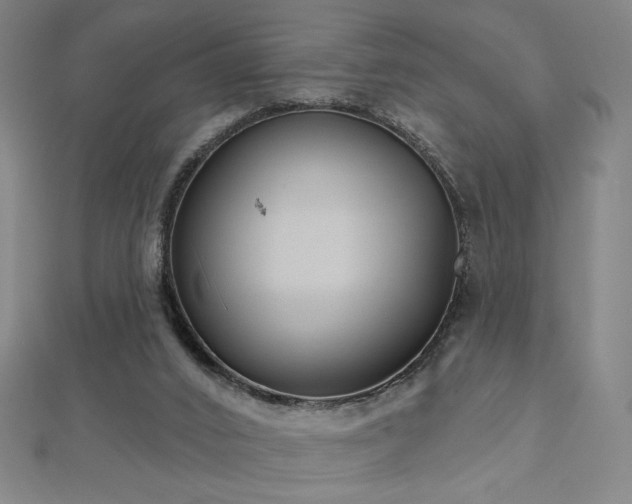 X0000112480016200908171229