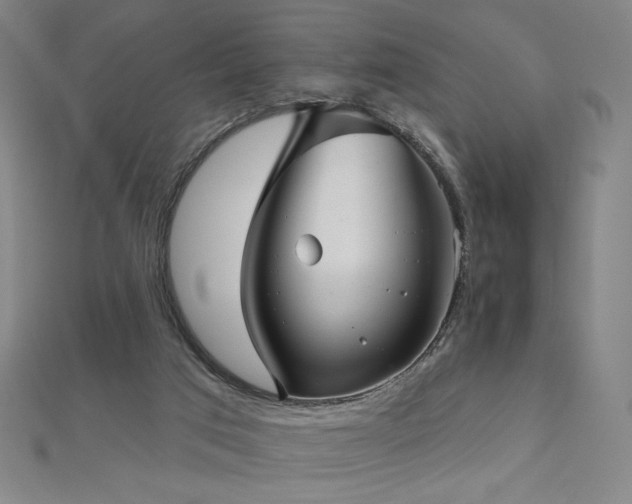 X0000112480017200908171229