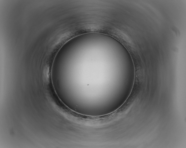 X0000112480024200908171229