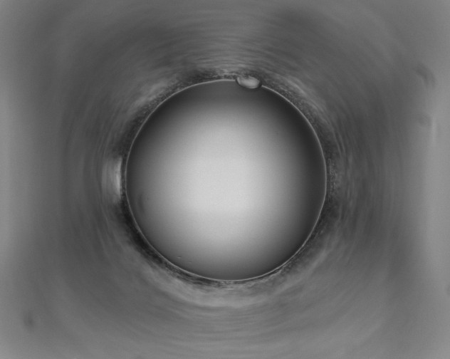 X0000112480028200908171229