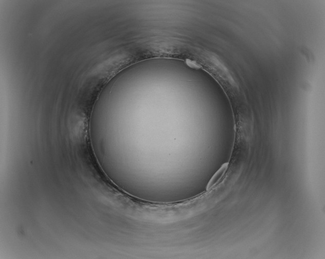 X0000112480029200908171229