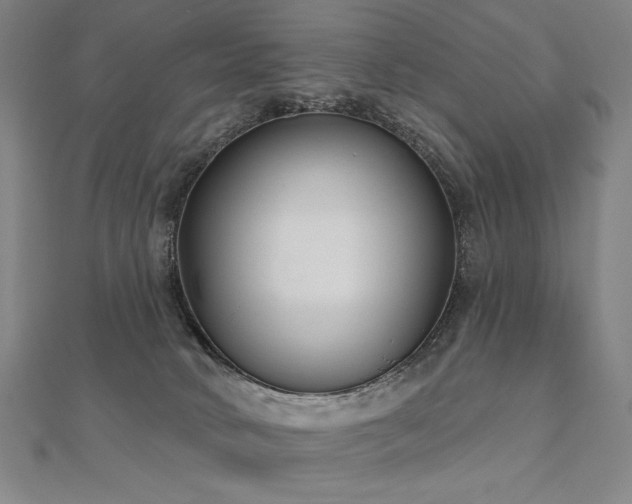 X0000112480034200908171229