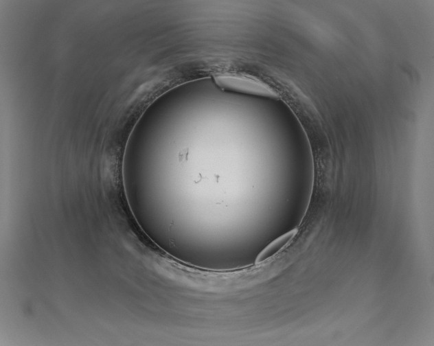 X0000112480035200908171229