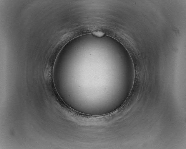 X0000112480036200908171229