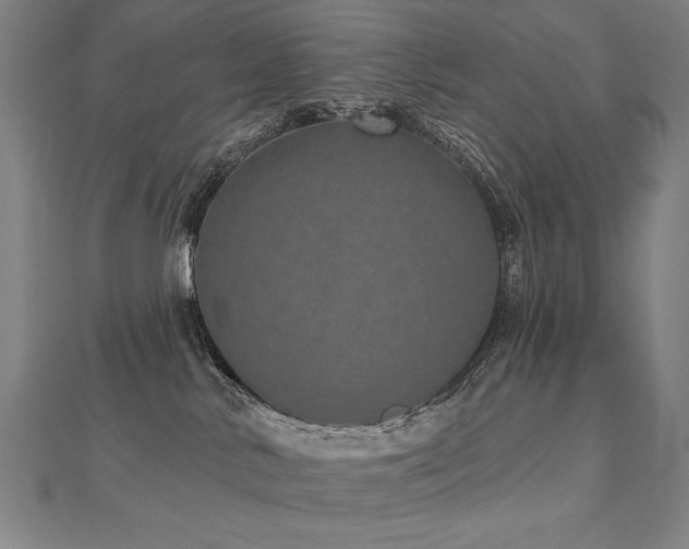 X0000112480042200908171229