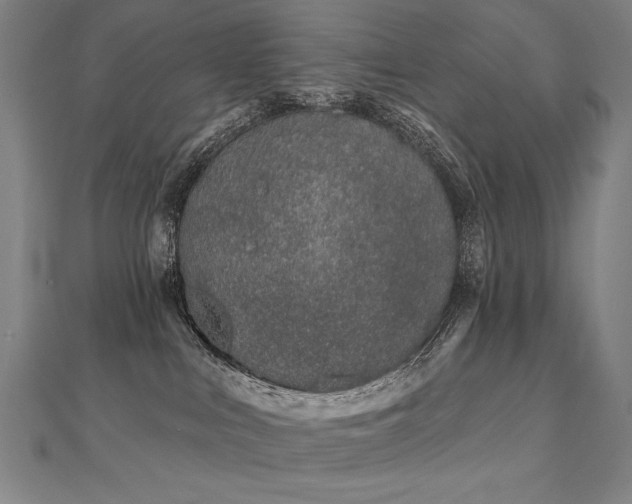 X0000112480043200908171229