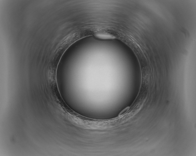 X0000112480044200908171229