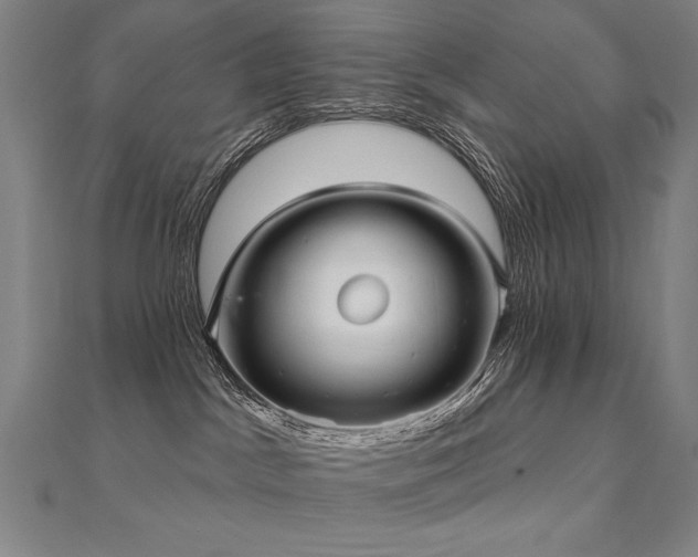 X0000112480045200908171229