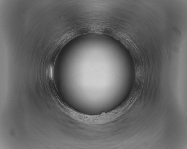 X0000112480046200908171229