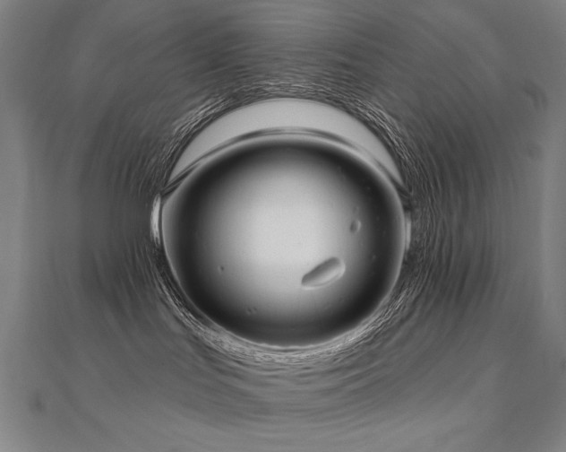 X0000112480047200908171229