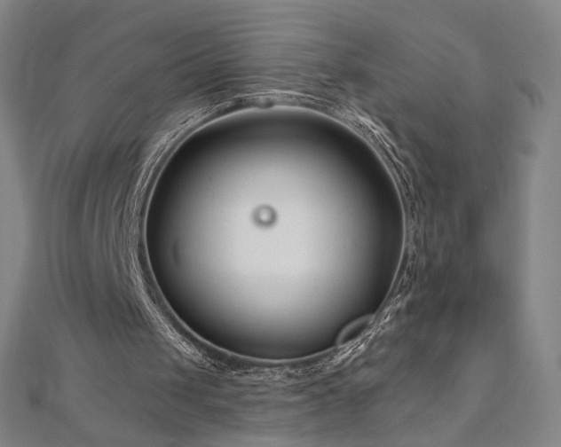X0000112480049200908171228