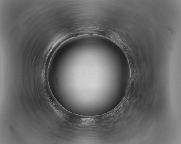 X0000112480050200908171228