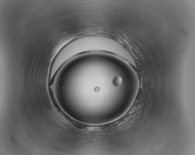 X0000112480052200908171228