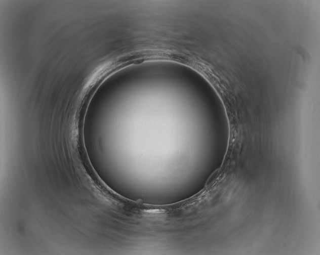 X0000112480053200908171228