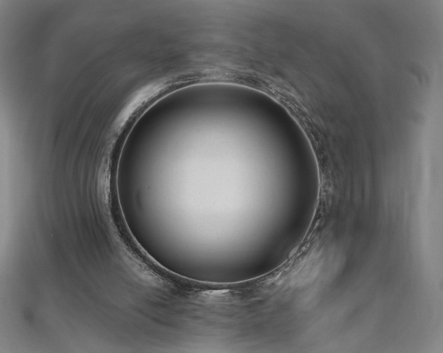 X0000112480054200908171228