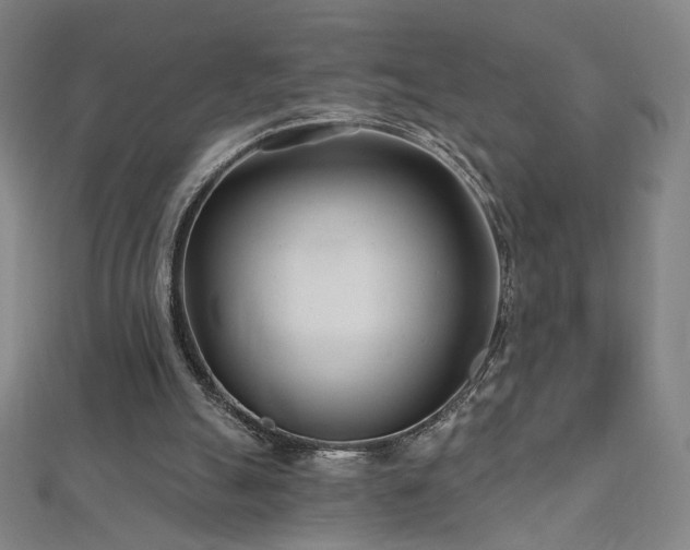 X0000112480055200908171228